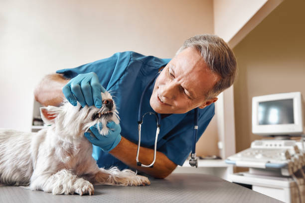 Best Emergency Tooth Extraction  in Corsicana, TX